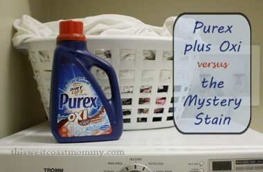 Purex plus Oxi versus the Mystery Stain