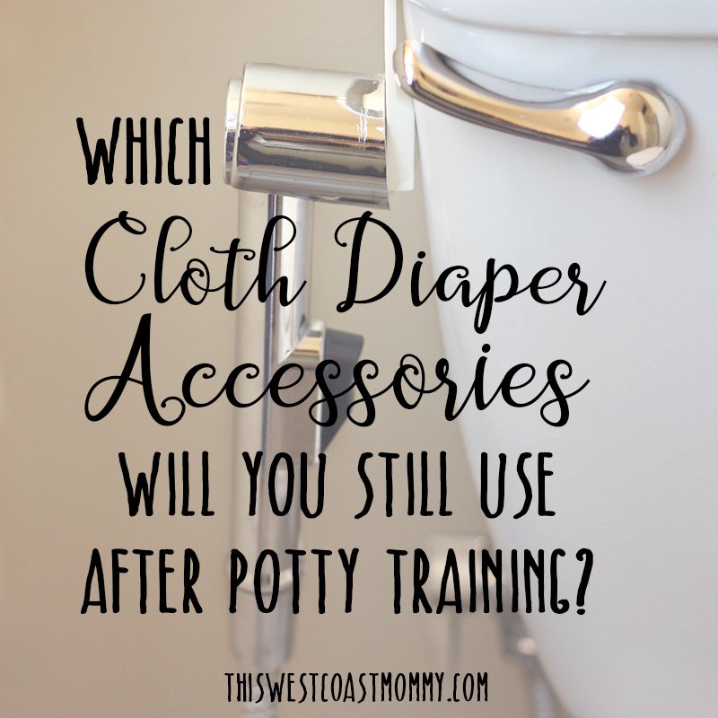 Which Cloth Diaper Accessories Will You Still Use After Potty Training?