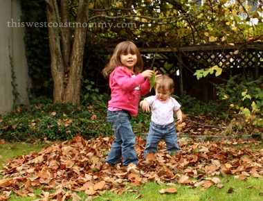 Wordless Wednesday: Playing in Fall Leaves