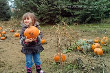 Wordless Wednesday: Pumpkin Picking