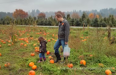 Wordless Wednesday: Pumpkin Picking