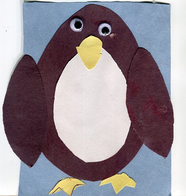 Wall-eyed Penguin
