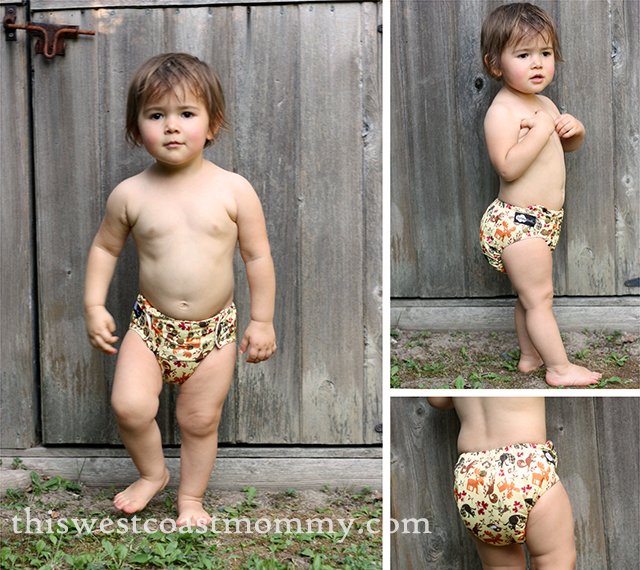 Funky Fluff Stay Dry 2.0 Diaper in Funk-eh Forest review