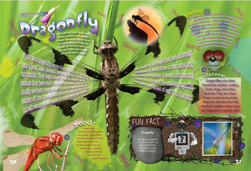 Bug 3D Dragonfly