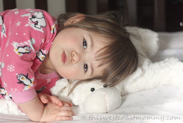 Cuddle with Warm Buddy Sleep Sheep for naps and bedtime