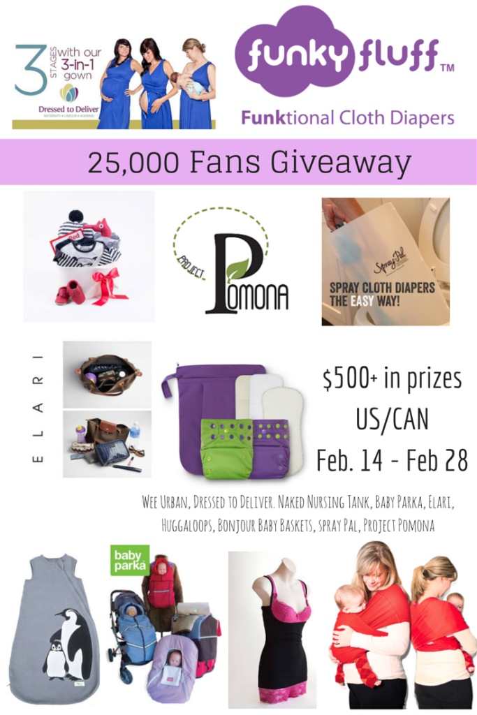 Win one of 10 prizes worth over $500 in total in Funky Fluff's 25,000 Facebook Fans Giveaway Celebration! (US/CAN, 2/28)