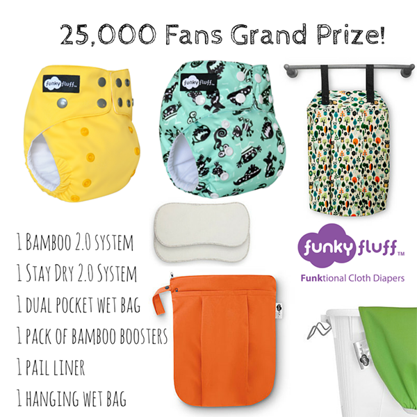 Win the Grand Prize of Funky Fluff cloth diapers and cloth diaper accessories! (US/CAN, 2/28)