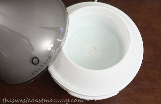 Look for a wide mouth water tank for easy refilling and cleaning. 