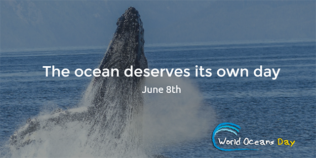 The ocean deserves its own day! Celebrate World Oceans Day on June 8.