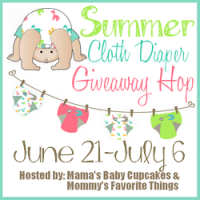 Summer Cloth Diaper Giveaway