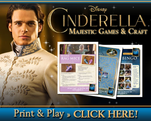 Cinderella majestic games & craft