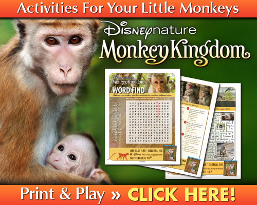 Monkey Kingdom activities