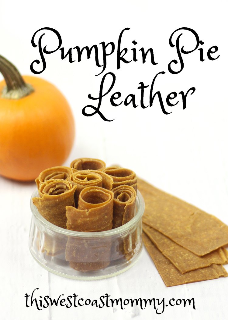 Pumpkin pie meets fruit roll-up! This homemade pumpkin pie leather is the best of both worlds minus all the sugar. Great for snacking and school lunches!