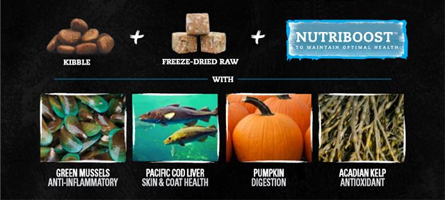 Nutrience Subzero makes raw and grain-free pet food easy! Nutriboost contains green mussels, Pacific cod liver, pumpkin, and Acadian kelp.