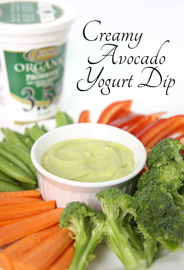 Yogurt is an easy, high protein base for tasty sauces and dips like this Creamy Avocado Yogurt Dip. Olympic Organic Probiotic Yogurt makes it light, fresh, and delicious!