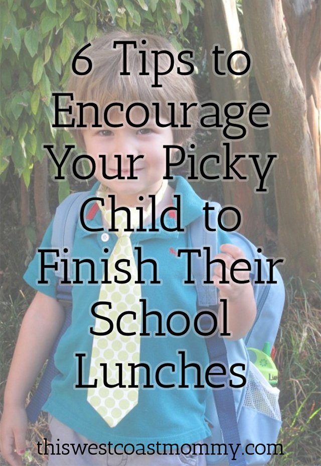 6 Tips for Encouraging Your Picky Child to Finish Their School Lunches