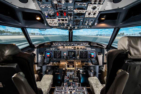 flight simulator experience