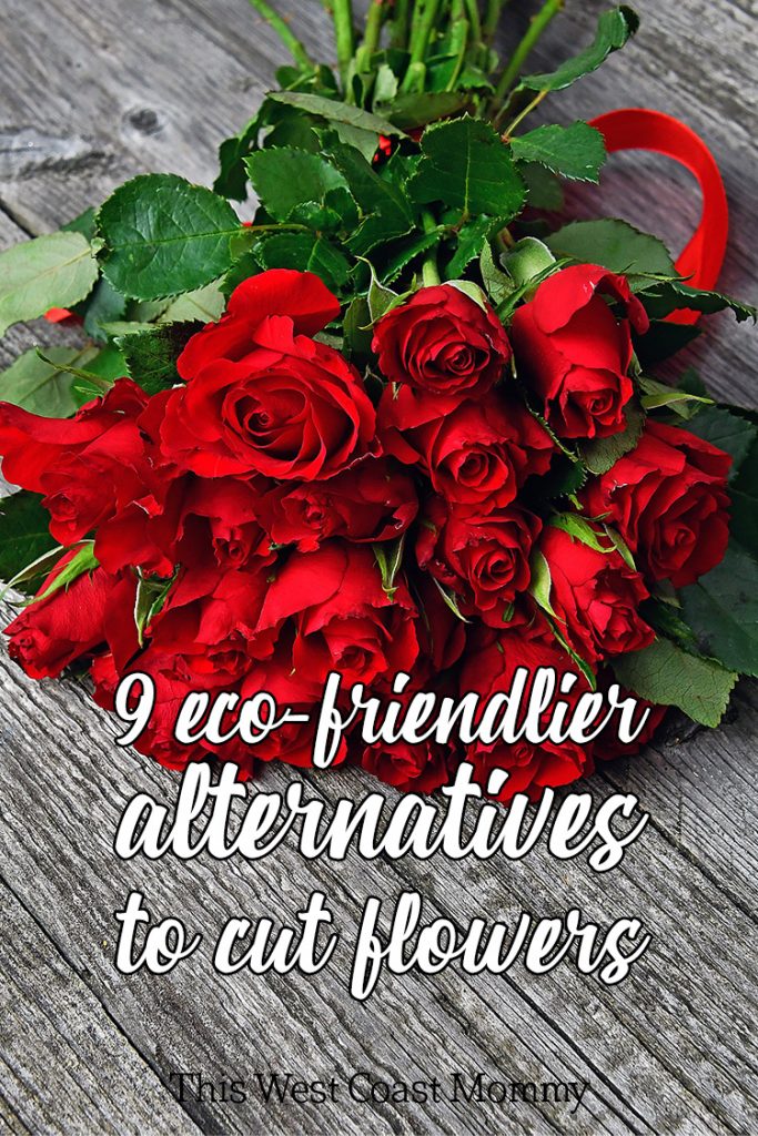 9 EcoFriendlier Alternatives to Cut Flowers This West Coast Mommy
